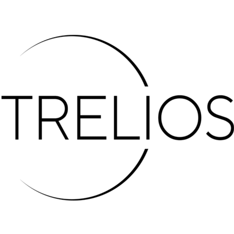 Logo für Google Maps SEO Agentur